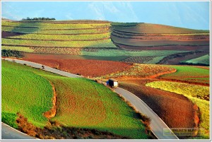 云南昆明东川红土地