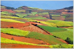 云南昆明东川红土地