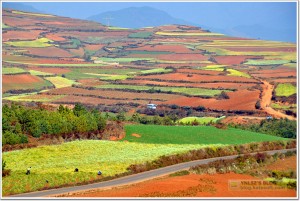 云南昆明东川红土地